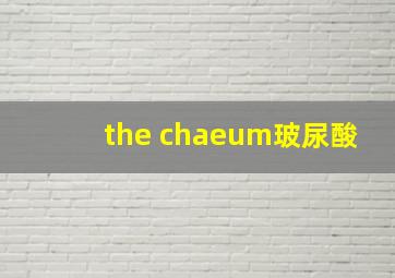 the chaeum玻尿酸